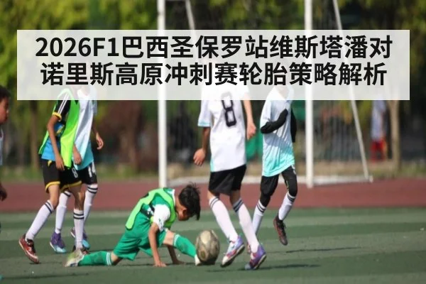2026F1巴西圣保罗站维斯塔潘对诺里斯高原冲刺赛轮胎策略解析